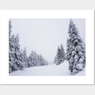 Winter landscape Posters and Art